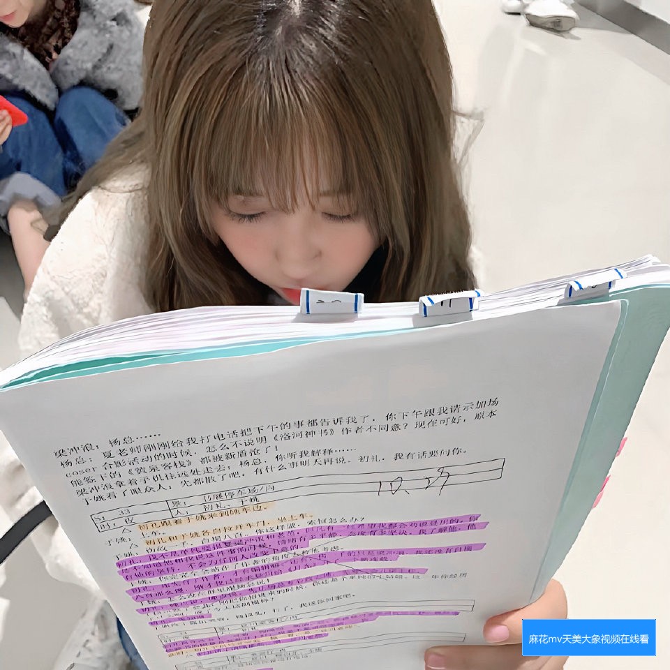 麻花MV、果冻MV、梦幻MV和蘑菇MV有哪些不同之处？它们各自的风格和特色是什么